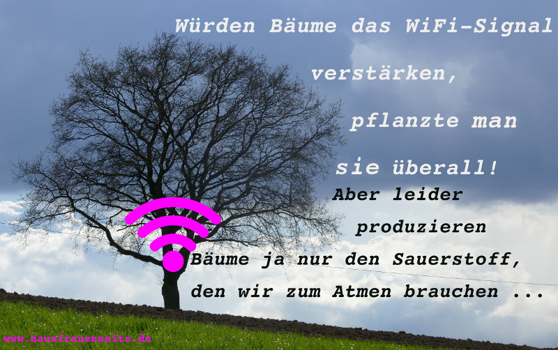 Wrden Bume das WiFi-Signal verstrken, pflanzte man sie berall! Aber leider produzieren Bume ja nur den Sauerstoff, den wir zum Atmen brauchen ...