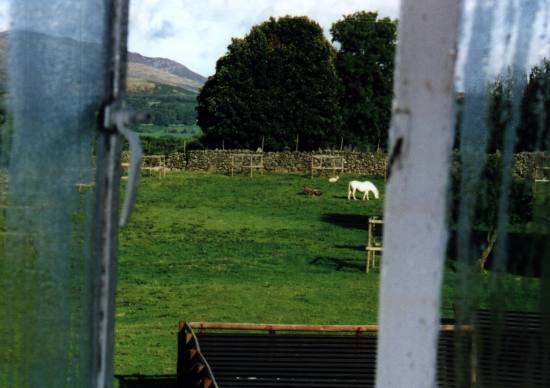 Blick aus dem Fenster