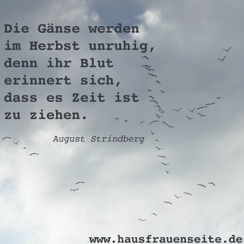 Die Gnse werden im Herbst unruhig, denn ihr Blut erinnert sich, dass es Zeit ist zu ziehen. August Strindberg