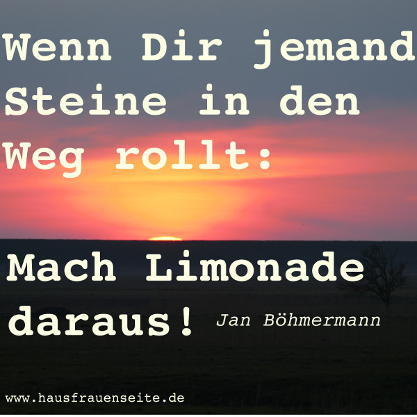 Wenn Dir jemand Steine in den Weg rollt: mach Limonade daraus! Jan Bhmermann